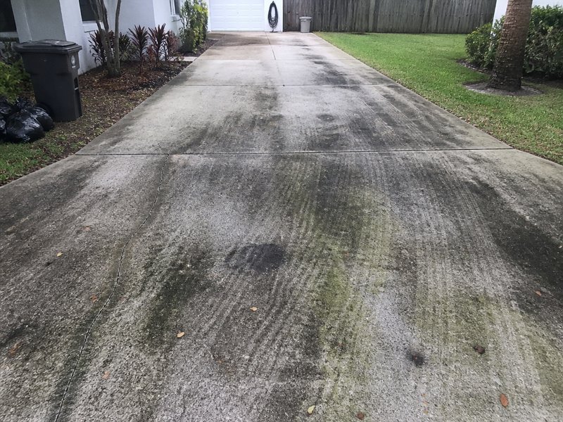 Clearwater, FL driveway pressure washing before cleaning - Concrete driveway