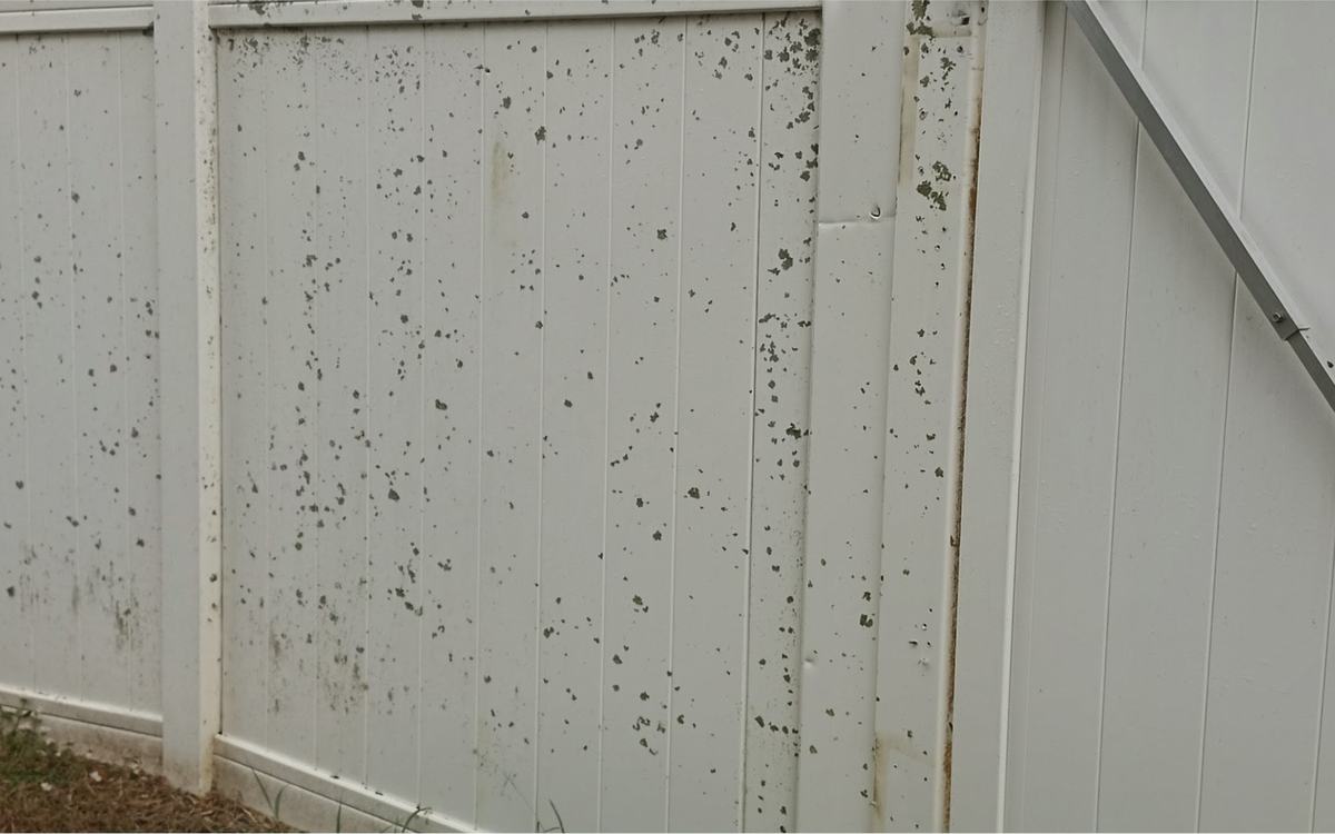 White vinyl fence speckled with lichen and algae spots before Sandbar soft washing — real job photo