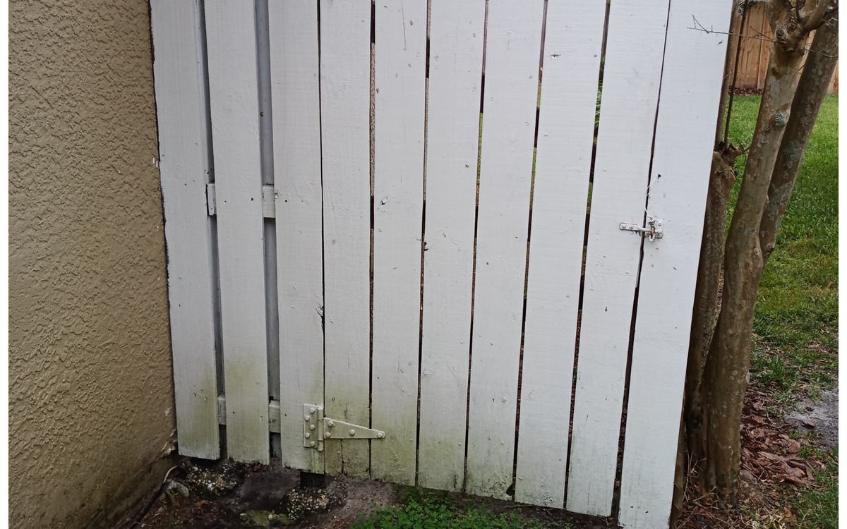 Painted white wood gate with green algae along the lower boards before Sandbar cleaning — real job photo