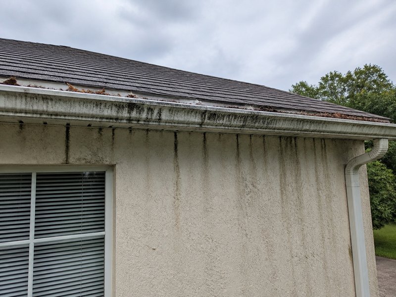 Oldsmar, FL gutter cleaning before cleaning - Exterior gutters and downspouts