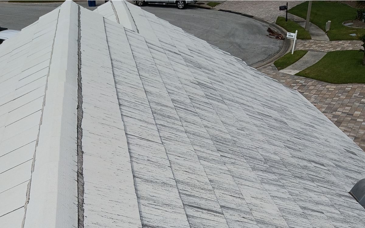 White roof streaked with dark algae before Sandbar soft washing — real job photo