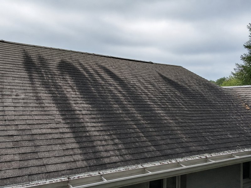 Clearwater, FL roof cleaning before cleaning - Asphalt shingle roof