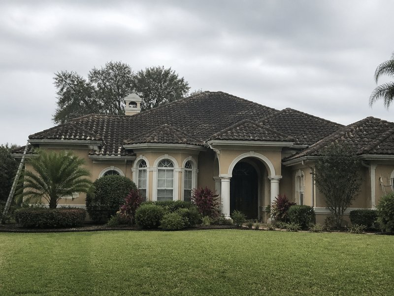 Tarpon Springs, FL roof cleaning before cleaning - Metal roof